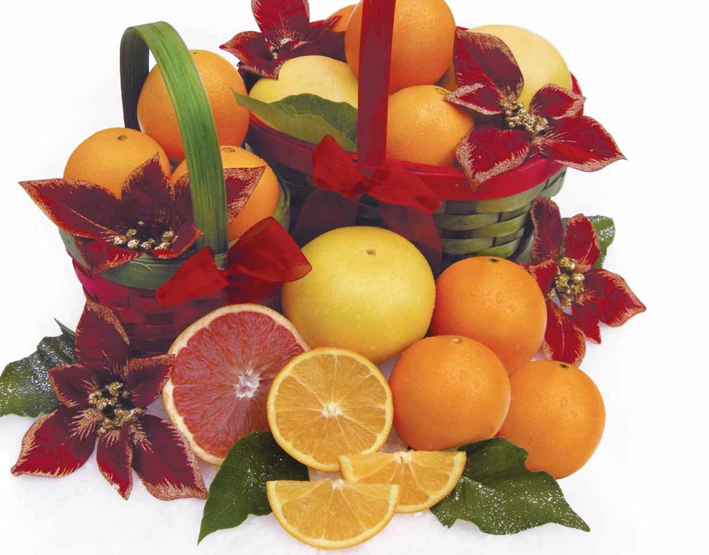 PG10-Xmas Catalog 8/30/10 10:27 PM Page 2 Dear Friends, Once again it s our favorite time of year when our citrus is in season and we get to share it with all our friends.