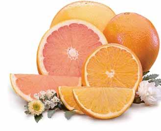 Sweet Navel Oranges Delicious Orlando Tangelos Famous Ruby Red Grapefruit This gift is a customer favorite because it offers three of our most sought-after varieties at a