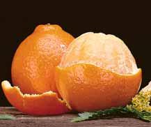 HONEYBELL TANGELOS- January Delivery With our heavenly Honeybells around, January has never been so sweet.