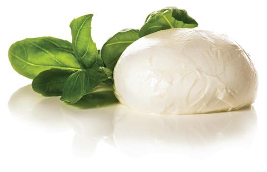 MOZZRE MOZZRE FOR D TTE Mozzarella fior di latte, fresh tomatoes, mixed green salad with extra virgin olive oil ETY TH STREET MS PZ +966