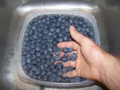 http://www.pickyourown.org/freezing_blueberries.htm Note (again) about blueberries: You can wash the frozen blueberries in a bowl of plain cold water.