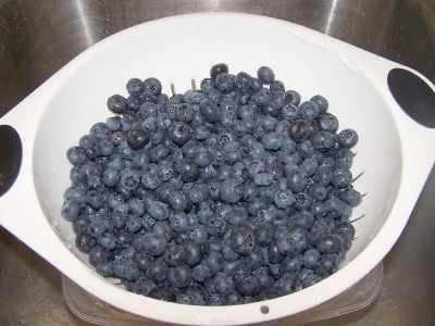 Step 2 - Sort the blueberries. Pick out and remove any bits of stems, leaves and soft or mushy blueberries.