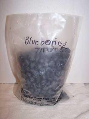 I leave them in the freezer overnight, to get completely frozen. Step 6 - bag the blueberries I love the FoodSavers (see this page for more information) with their vacuum sealing!
