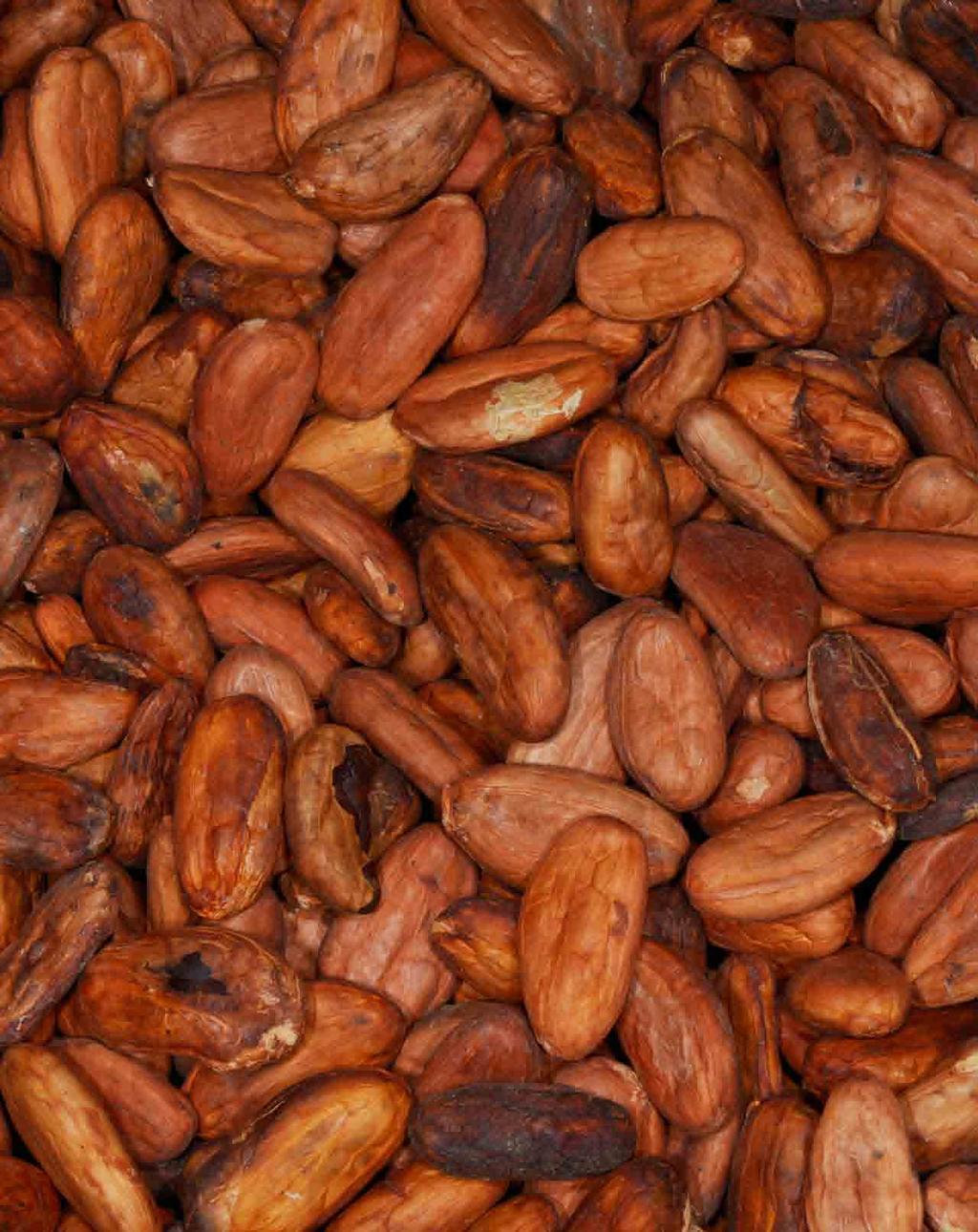 The plants below are primarily seeds of trees, or vines (Pepitorio). Seeds of grains are already listed previously, in a separate category, namely grains.