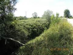 White willow (Salix alba) and White poplar (Populus alba) galleries or riparian vegetation are distributed throughout this