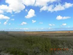 At this WP can observed Mediterranean salt meadows (Juncetalia maritimi)