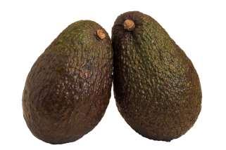 ADORABLE AVOCADOS The Florida avocado is larger and has a lower fat