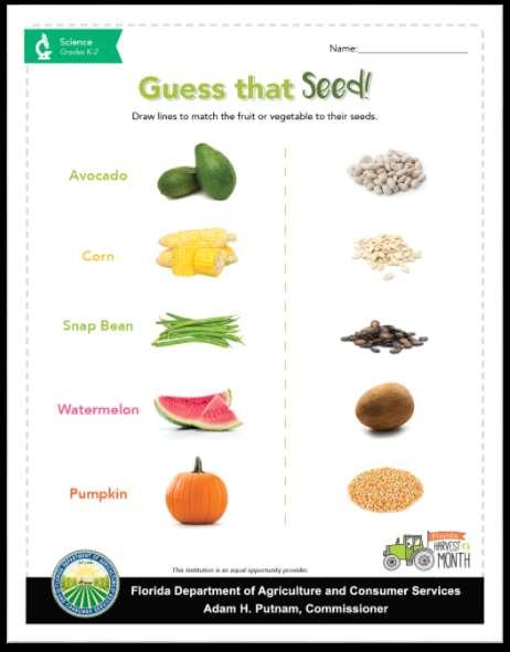 K-2 SCIENCE GUESS THAT SEED Draw lines