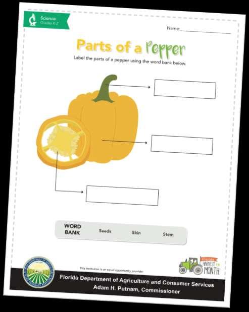 3-5 SCIENCE GUESS THAT SEED Label the parts of the pepper. 1.