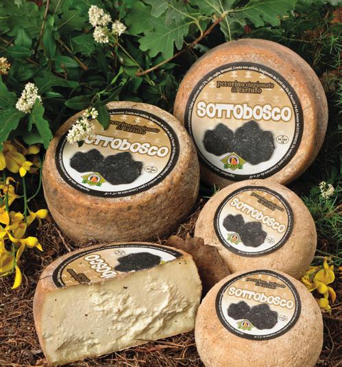 Pecorino with dried fig juice 0,5 kg 6 6 months 3069 Pecorino flavoured honey 1,2 kg 2 6 months 3070 Pecorino flavoured honey 0,5 kg 6 6 months 3071 Pecorino with truffle 1,3 kg 2 6 months 3072