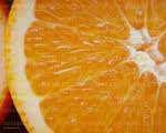 of Raspberry ice Price 480 THB/Kg (Cost 36 THB/1kg of ice ) Orange Paste (02-PO001) Use 60-80 g.
