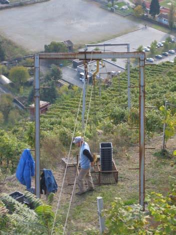 This steep slope vineyard requires a towing system with baskets similar to a