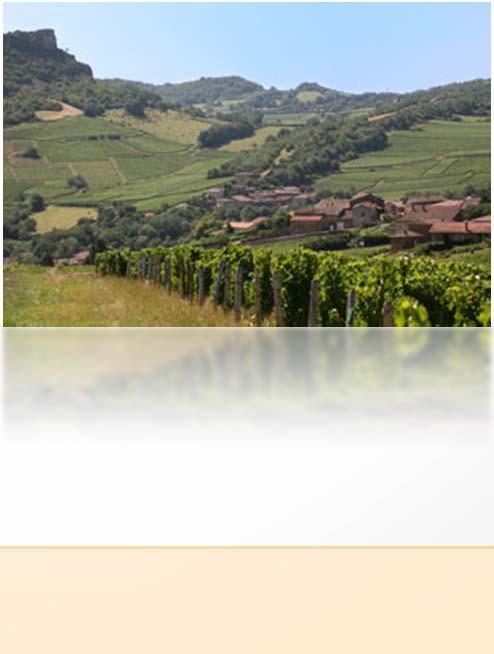 Natural elements: exposure and orientation favouring quality Plot orientation and vineyard