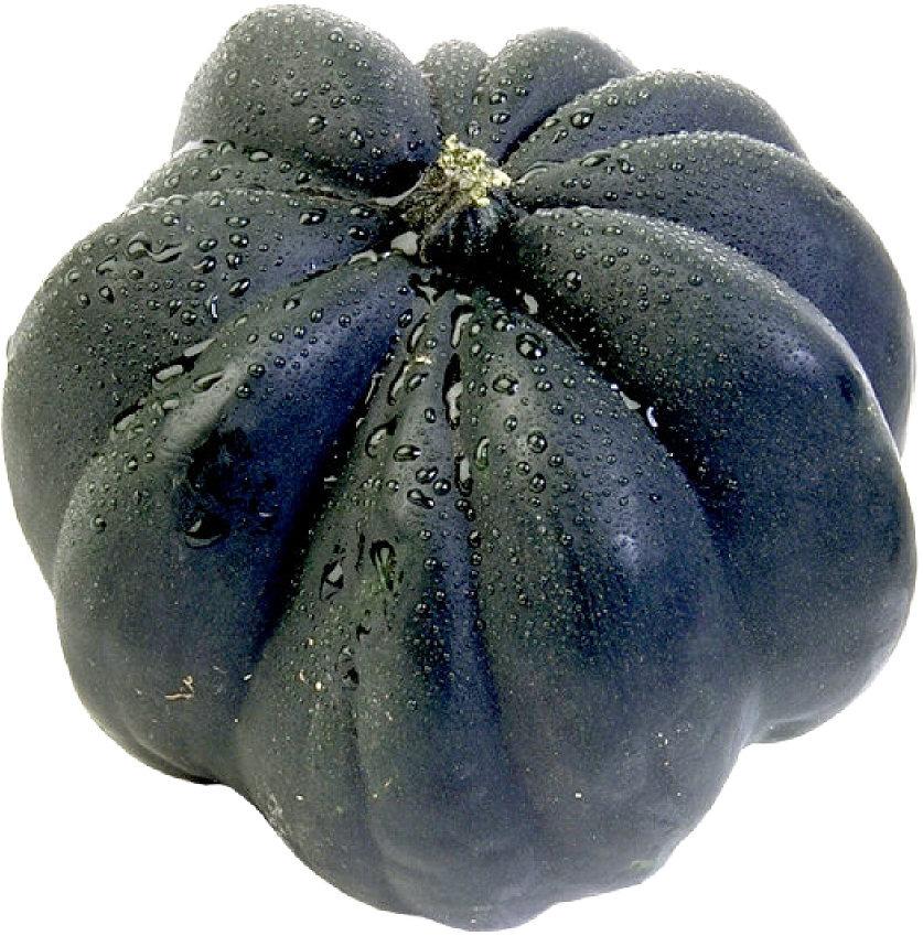 Squash Squash come in many different colors, sizes and shapes. They have a rind (thick skin) which protects the fleshy part of the vegetable.