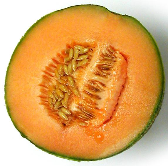 Cantaloupe In the United States, cantaloupe are commonly called muskmelon. Muskmelon are round with a light-brown rind (thick skin) and orange flesh. The rind is not eaten.