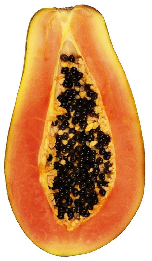 Papaya Papayas are similar to melons, but they are not in the melon family. The thin skin varies from green to orange to rose. The skin is not eaten. The flesh inside is yellow-orange.