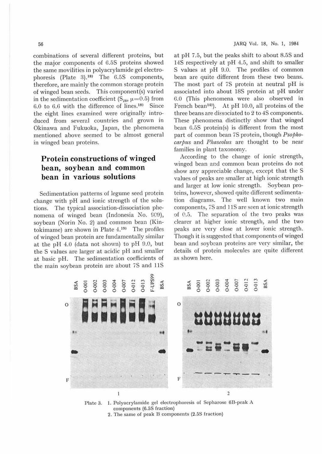 56 combinations of several different proteins, but the major components of 6.55 proteins showed the same movilities in polyacrylamicle gel electrophoresis (Plate 8}. 1 s> The 6.
