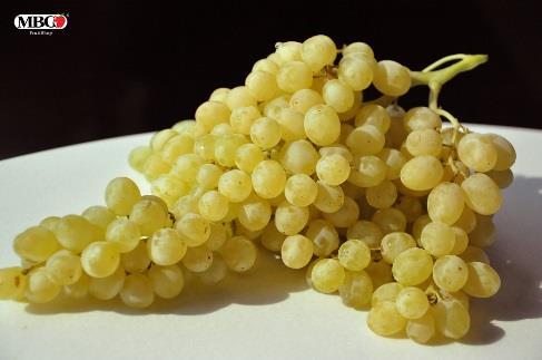 store green Thompson Seedless Grown in California Multi-use grapes for jelly,