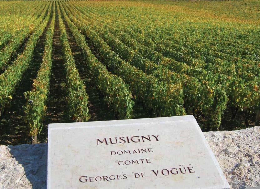 Its two grands crus are Musigny and Les Bonnes Mares, which lie at opposite ends of the village. The principal premier cru is arguably Les Amoureuses.