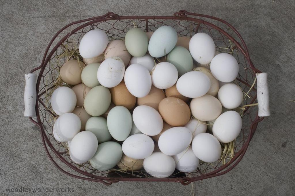 white eggs,