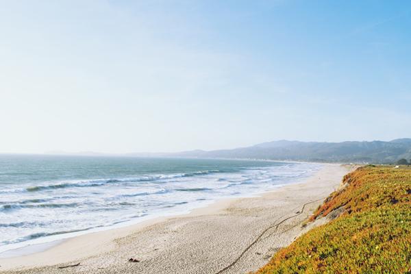 Half Moon Bay Beaches Wide open with cream-colored sand, Half Moon Bay s 10-plus beaches are its signature attraction they are