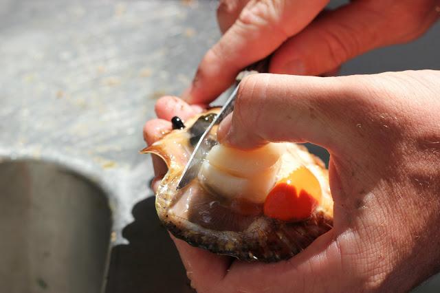 Cut the black belly of the scallop off.