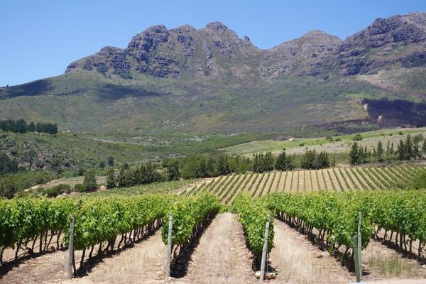 Set in a beautiful location on the slopes of the Helderberg in Stellenbosch, neighbouring Rust en Vrede, it was