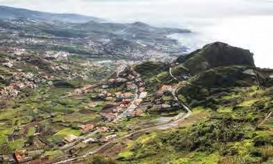 Over the past five centuries, the slopes of Madeira Island became a unique landscape of vineyards, where the vines produce high quality grapes, yielding an exceptional wine.
