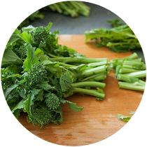RAPINI Supplies have improved and markets are down. Quality has improved. PARSLEY (CURLY, ITALIAN) Quality and supplies have improved. RADISHES Quality is good and supply is slowing down.