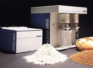 Protein complex that is formed when wheat flour is combined with water Energy (mixing) speeds