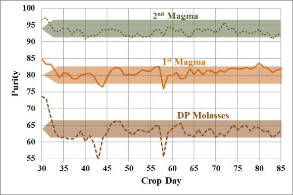 Improvements of raw sugar quality using double purge of C-magma Figure 4.