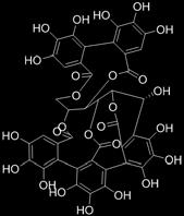 g. (-) catechin (+) epicatechin (G) Hydroxycinnamic acids e.g. p-coumaric acid: R 1,