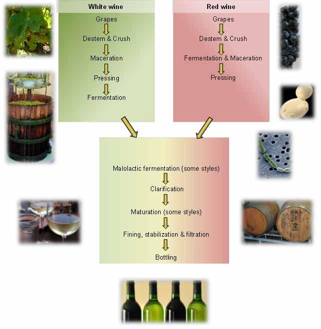 Chapter 4: Analytical techniques for wine analysis: An African perspective disciplinary nature of analytical research in this field has contributed to improving the quality of grape-derived products