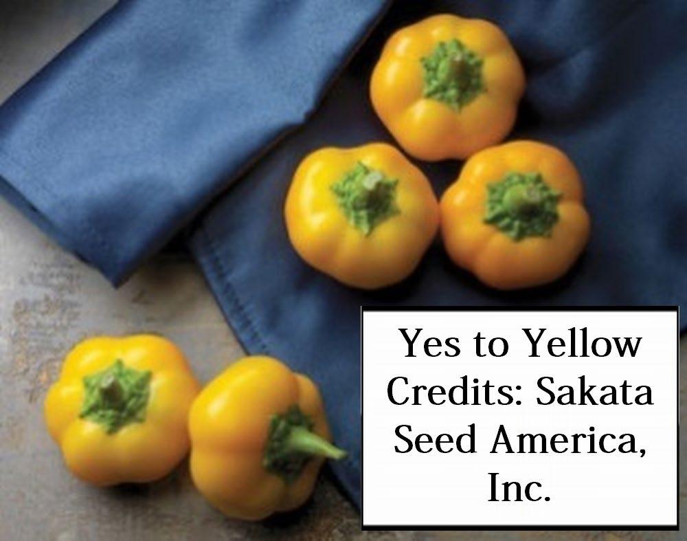 Credits: Sakata Seed America, Inc. Figure 29.