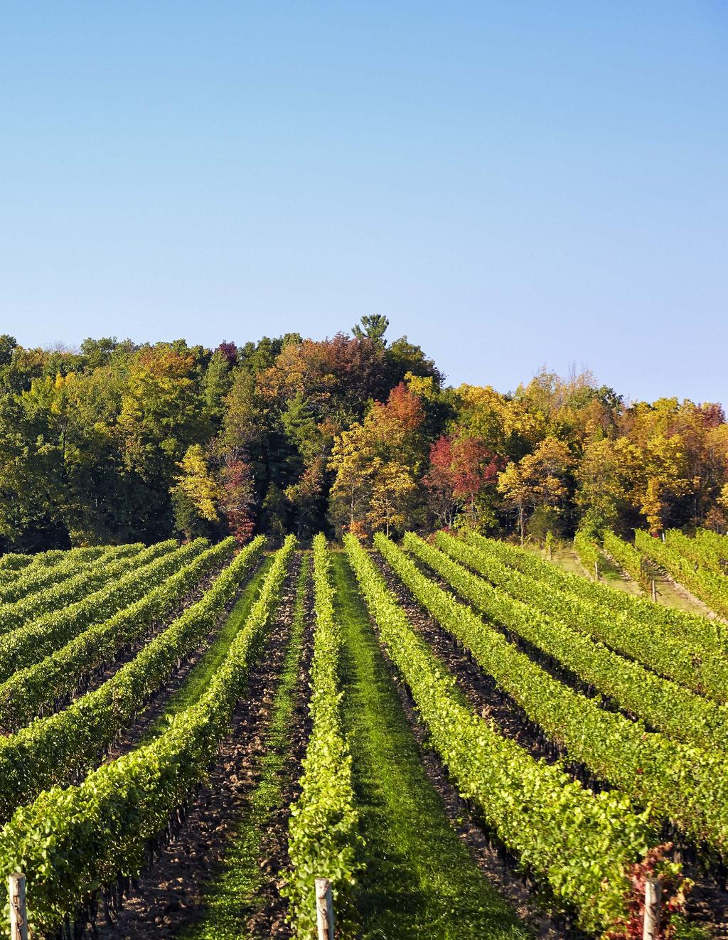 Ontario Wine and Grape Industry Performance Study 2016 Performed by VQA Ontario and