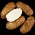 LRT Tubers Ranger Russet WA Late Harvest Regional Trial Comments Tubers: Round to oblong tubers. Good skin set; moderate eye depth.