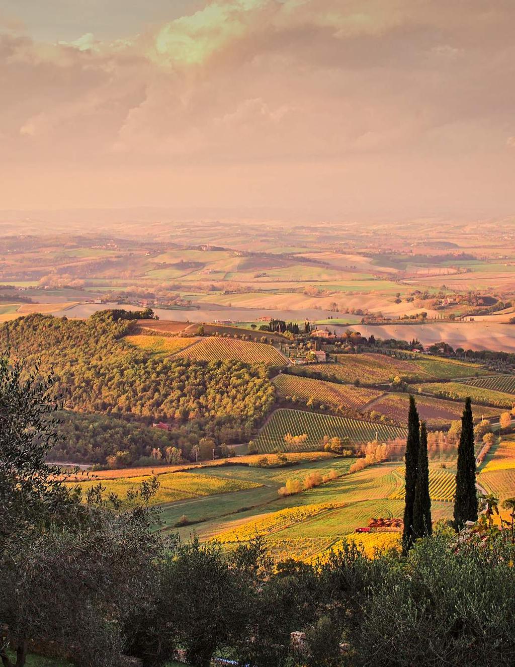 AMORE IN ITALY A Culinary Adventure in Tuscany October 6