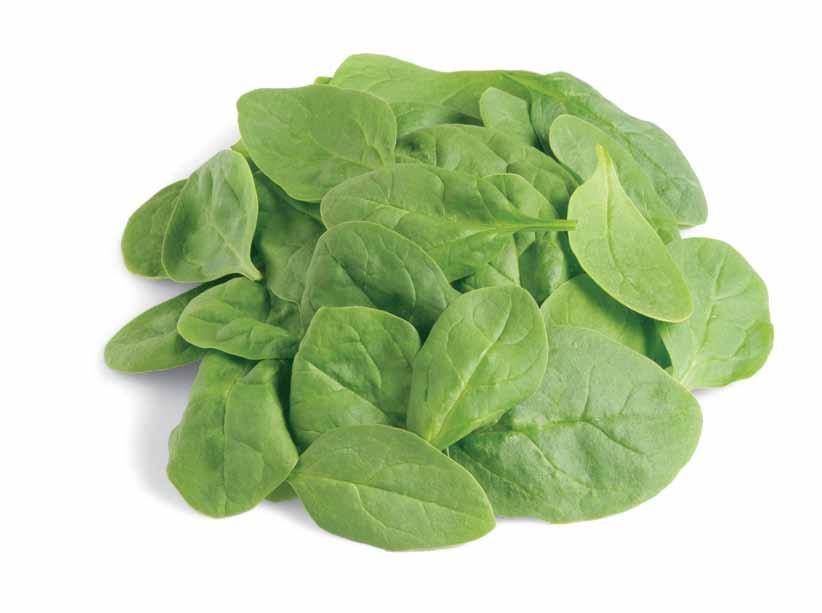Organic Half & Half Blend Organic Spring Mix & Organic Baby Spinach Relatively new blend with strong