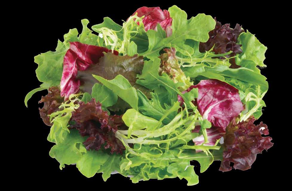 6% of total salad sales * and 47% of tender leaf salad sales * ), with only two new organic SKUs within