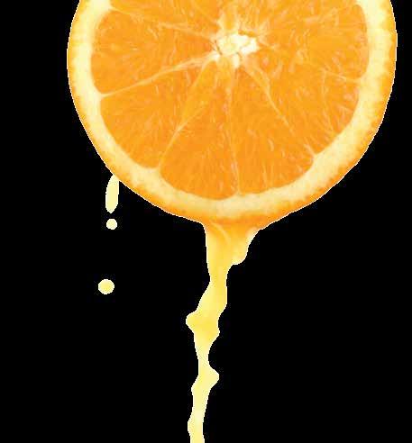 Orange Tangerine Dark Orange Blossom 123 3 oz. Water 5 oz. Dr.