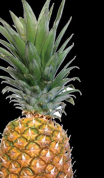 Pineapple Paradise Pineapple Deluxe 1 oz. Water 2 oz. Pineapple juice 4 oz. Dr.