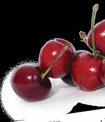 Wild Cherry Cranberry Pickin Cherries 2 2/3 oz. Water 5 1/3 oz. Dr. Smoothie Wild Cherry Cranberry Concentrate 1-2 tsp.