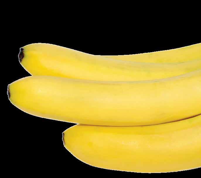 Banana Nutty Banana-Rama 4 oz. Milk 3½ oz. Dr. Smoothie Banana Smoothie Concentrate 1-2 Tbsp. Cafe Essentials Vanilla Cream 1-2 Tbsp.