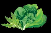 5. Choose Calcium-Rich Foods Kale, collards, fortified