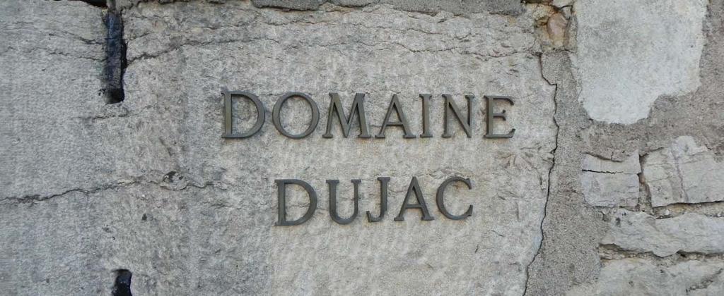 DOMAINE DUJAC It s a girl! A girl!