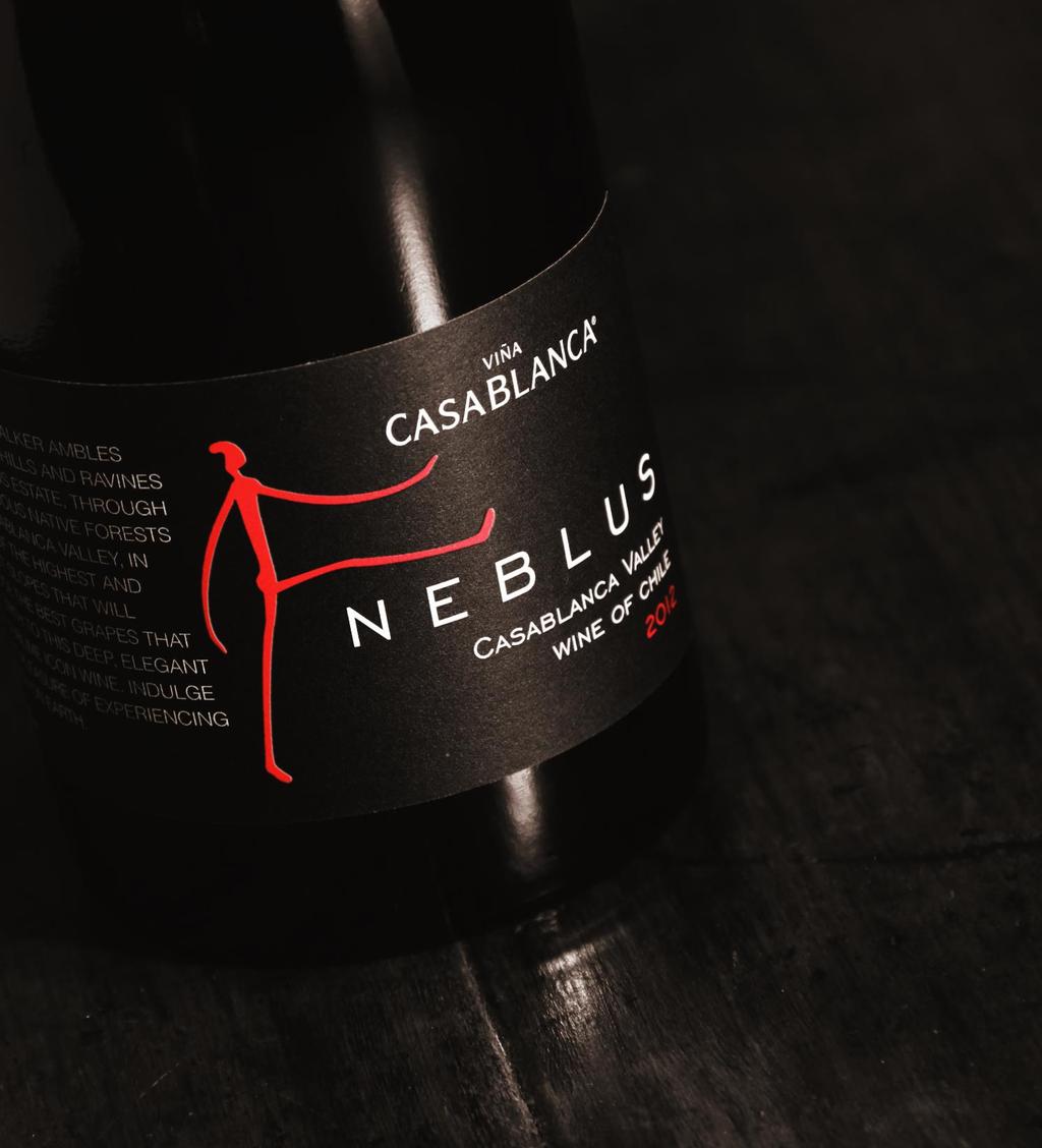 Neblus is a curious walker that chases the clouds of the Chilean skies in search of the best terroirs to give birth to the finest wines.