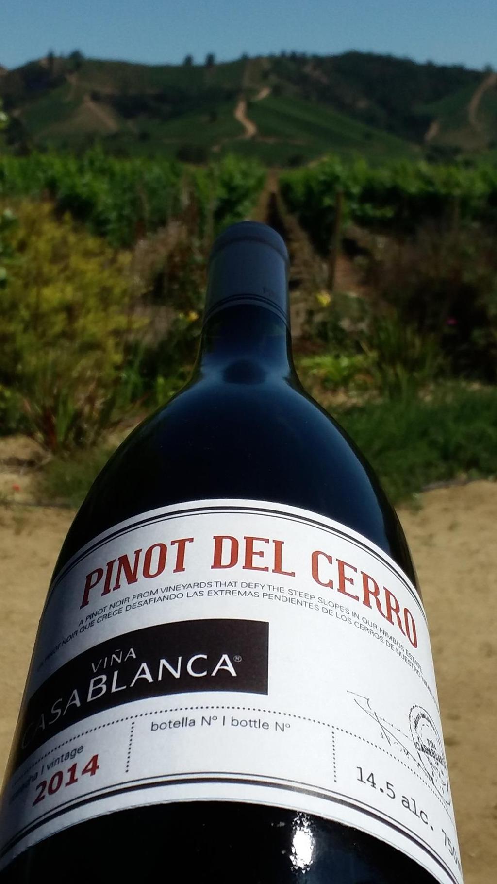 A Pinot Noir from vineyards that defy the steep slopes in our Nimbus Estate Pinot del Cerro is a limited edition. It s first vintage 2014 is a collection of just 1300 bottles.