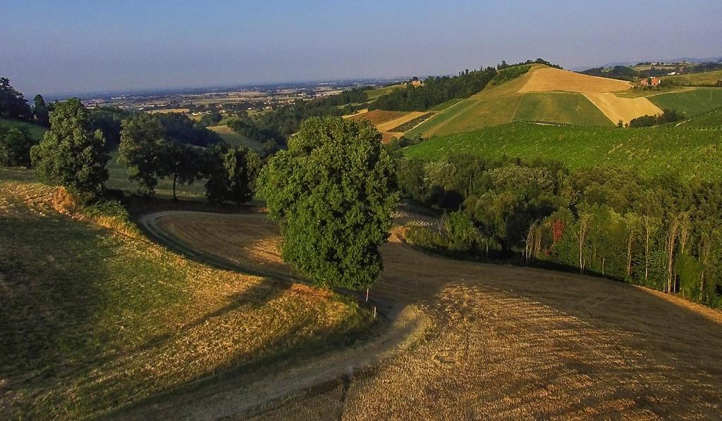 Land A natural vocation for excellence The Parma area has been known for centuries for its gastronomic excellence.