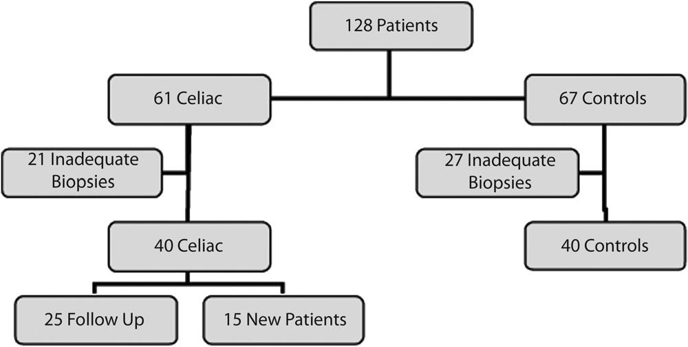 Gonzalez et al Duodenal bulb biopsies in celiac disease TABLE 3. Analysis of biopsy number and adequacy for assessment of villous atrophy D2 Bulb Total Celiac Control Celiac Control No.