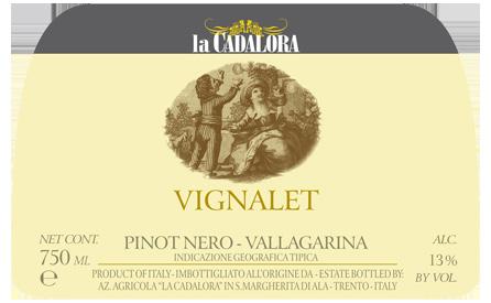 Pinot Nero Vignalet Appellation: PINOT NERO VALLAGARINA IGT Cru: Vignalet Vineyard extension (hectares): 1.